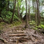 　吉野熊野国立公園の大日越（環境省提供）