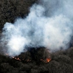　白煙が上がる群馬県藤岡市の山林火災現場＝２５日午後４時５６分（共同通信社ヘリから）