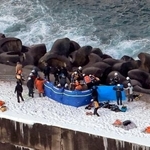 　北海道せたな町の漁港で続けられる捜索活動＝３０日午前８時５１分（共同通信社ヘリから）