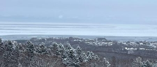 　「流氷接岸初日」を迎えた北海道網走市＝１日午後（オホーツク流氷館提供）
