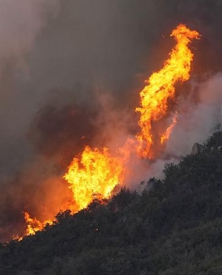 　激しく炎を上げる、岡山市南区と岡山県玉野市にまたがる山林火災現場＝昨年３月２５日（共同通信社ヘリから）