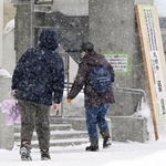 　雪が降る中、札幌市内の投票所に向かう人たち＝８日午後