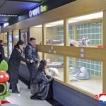 　平壌の和盛地区でペットショップを視察する北朝鮮の金正恩朝鮮労働党総書記（中央）と妻子＝１６日（朝鮮中央通信＝共同）