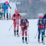 　山岳スキー女子スプリント予選で、力走する選手たち＝１９日、イタリア・ボルミオ（共同）