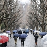 　国公立大２次試験の前期日程が始まり、会場に向かう受験生＝２５日午前、東京・本郷の東京大学