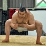 　大阪入り後の初稽古を行う大関安青錦＝大阪府松原市の安治川部屋