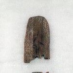 　奈良市の平城京跡の井戸の遺構から出土した木簡の裏面