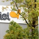 　ダイエーのロゴ＝東京都江東区