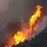 　激しく炎を上げる、岡山市南区と岡山県玉野市にまたがる山林火災現場＝昨年３月２５日（共同通信社ヘリから）