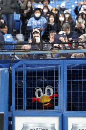 　関係者通路から、試合後のイベントをのぞき込むヤクルトの球団マスコット「つば九郎」＝１５日、神宮球場