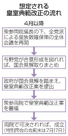 　想定される皇室典範改正の流れ