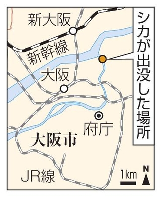 　大阪市都島区・シカが出没した場所、ＪＲ大阪駅