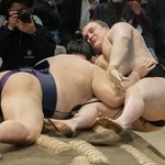 　安青錦（右）が寄り倒しで義ノ富士に敗れる＝エディオンアリーナ大阪