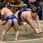 　大の里（右）が引き落としで藤ノ川に敗れる＝エディオンアリーナ大阪