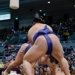 　豊昇龍（奥）がはたき込みで藤ノ川に敗れる＝エディオンアリーナ大阪