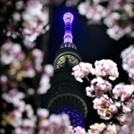 　東日本大震災の被災地復興を願うライトアップが実施された東京スカイツリー＝１１日夜、東京都墨田区