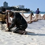 　和歌山県白浜町の白良浜で行われた防砂ネットの撤去作業＝１２日