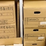 　坂本堤弁護士が所属した法律事務所に保管されている、関連資料入りの段ボール箱＝２０２５年６月、横浜市（日弁連提供）