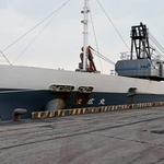 　青森県八戸市の八戸港に入った貨物船末広丸＝１７日午前