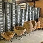 　吉野ケ里遺跡の出土品（佐賀県提供）