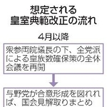 　想定される皇室典範改正の流れ
