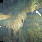 　東京電力福島第１原発３号機の原子炉圧力容器底部付近。容器底部とみられる構造物（右矢印）や、本来容器内にある制御棒関連の部品（左矢印）がむき出しになっている＝１７日（東電提供）