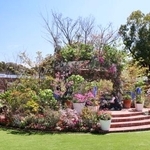 　花の祭典「フクオカフラワーショー」の会場＝２０日、福岡市植物園