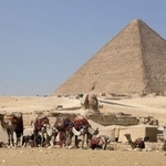 　エジプトの首都カイロ近郊ギザのピラミッドとラクダ＝１６日（共同）