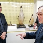 　剥製と対面し意見交換する佐藤豊弘さん（右）と国立台湾博物館の陳登欽館長＝２９日、台北市（共同）