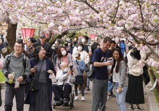 　造幣局で始まった「桜の通り抜け」で、桜を楽しむ人たち＝９日午前、大阪市北区