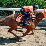 　桜花賞に向け調整するスターアニス＝栗東トレーニングセンター