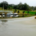 　水たまりができたバンカー（手前）。悪天候で第２ラウンドが中止となった＝東建多度ＣＣ名古屋