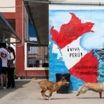 　リマの投票所＝１３日（ロイター＝共同）