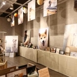 　「いぬとねこ　シニアのそなえ展」＝東京都新宿区