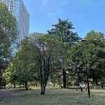 　都立戸山公園＝東京都新宿区