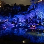 　青い光でライトアップされた八芳園の日本庭園＝東京・白金台（提供写真）