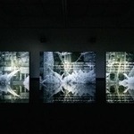 　坂本龍一＋高谷史郎《ＴＩＭＥ　ＴＩＭＥ》２０２４年　（ｃ）２０２４　ＫＡＢ　Ｉｎｃ．撮影：福永一夫