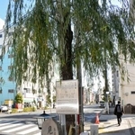 　見返り柳＝東京都台東区
