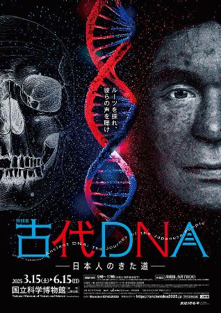 　特別展「古代ＤＮＡ　日本人のきた道」