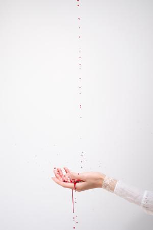 　小林エリカ「Ｍｙ　Ｂｌｏｏｄ」（（Ｃ）２０２５　Ｅｒｉｋａ　Ｋｏｂａｙａｓｈｉ，Ｙｕｔａｋａ　Ｋｉｋｕｔａｋｅ　Ｇａｌｌｅｒｙ　Ｐｈｏｔｏ：Ｋａｓａｎｅ　Ｎｏｇａｗａ）（提供写真）