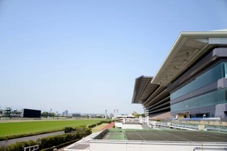 　東京競馬場のコースとスタンド＝東京都府中市