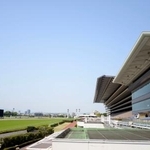 　東京競馬場のコースとスタンド＝東京都府中市