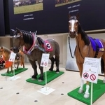 　ＪＲＡ競馬博物館の展示＝東京都府中市