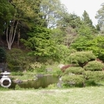 　菅刈公園の日本庭園＝東京都目黒区