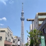 　タワービュー通りから見る東京スカイツリー＝東京都墨田区