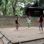 　世田谷八幡宮の土俵で記念撮影する外国人観光客＝東京都世田谷区