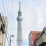 　東京スカイツリーの足元に広がる向島かいわい＝東京都墨田区