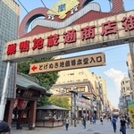 　活気あふれる巣鴨地蔵通り商店街＝東京都豊島区