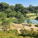　藤代峠から見渡した六義園＝東京都文京区