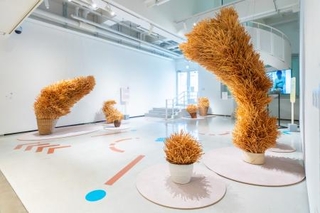 　武田拓《はし》（２０１０年　作家蔵　展示風景　撮影：佐藤基）（提供写真）